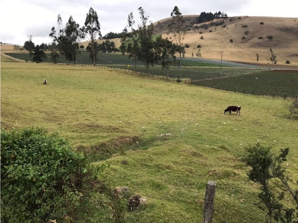 Vendo Lote en Vereda Tilata en Chocontá Cundinamarca - 1
