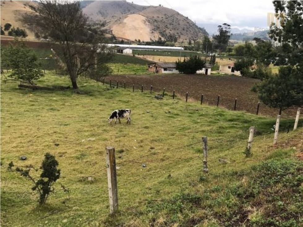 Vendo Increíble Lote En Chocontá Cundinamarca, Excelente Ubicación. - 1