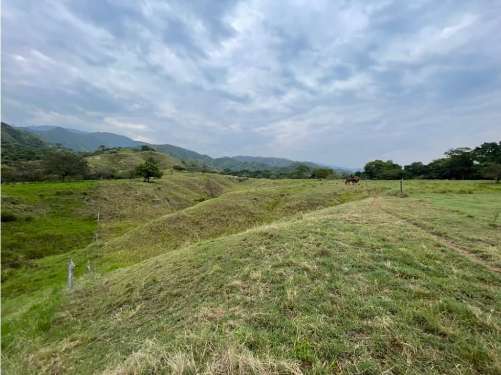 Lote ganadero en venta - Campoalegre, Huila - 1