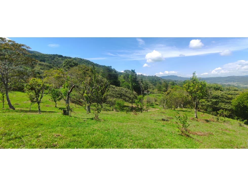 Venta Finca - Moniquirá (Vereda Pila Grande) - 1