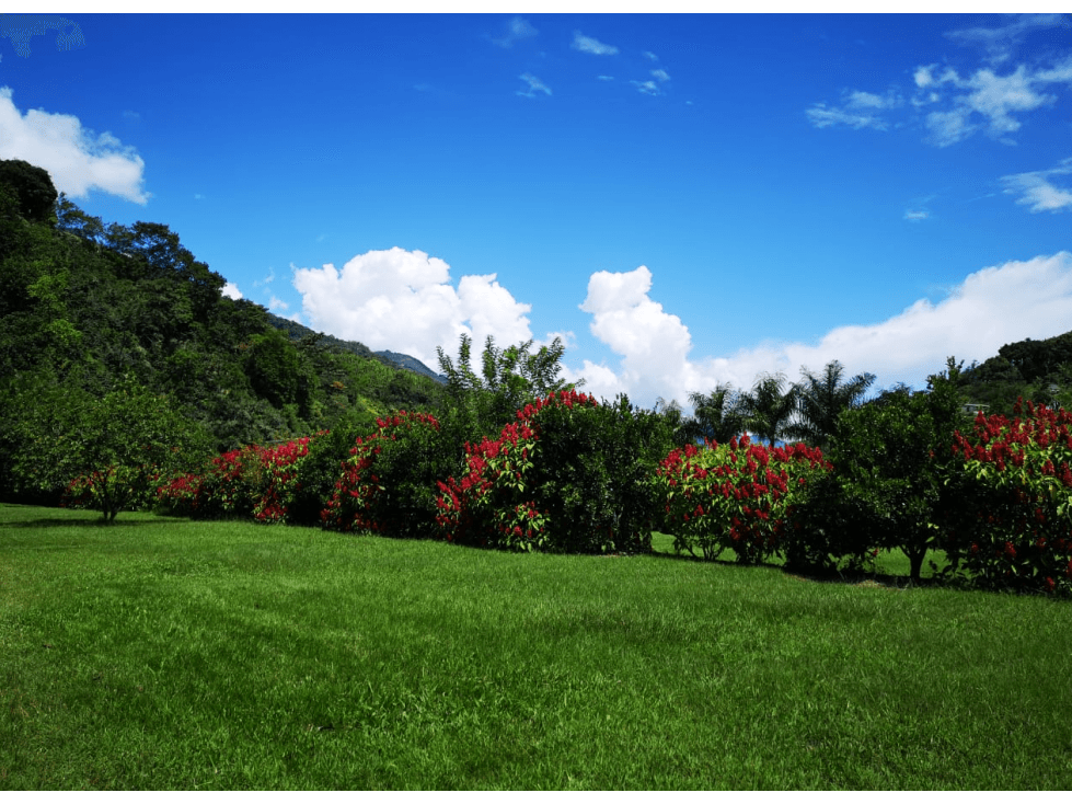 5552798 Finca Hotel Montebello Vereda Sabaletas - 1