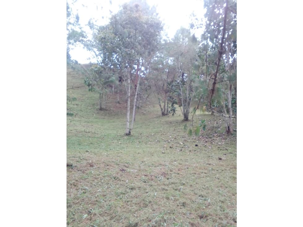 Lote en parcelación El Retiro - 1