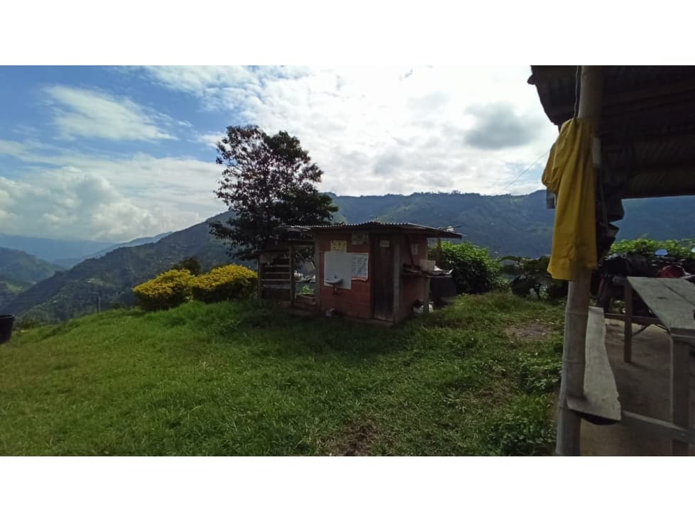FINCA PRODUCTORA DE AGUACATE PARA LA VENTA - 1