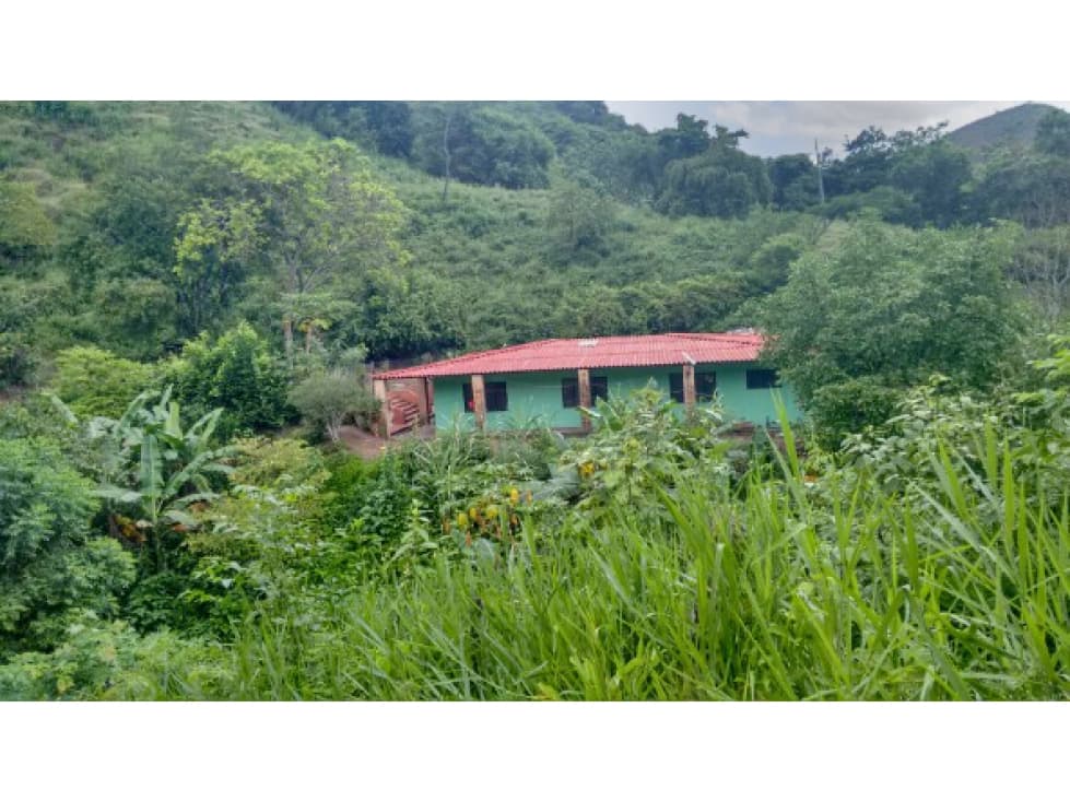 SE VENDE FINCA EN VIOTÁ (CUNDINAMARCA) - 1