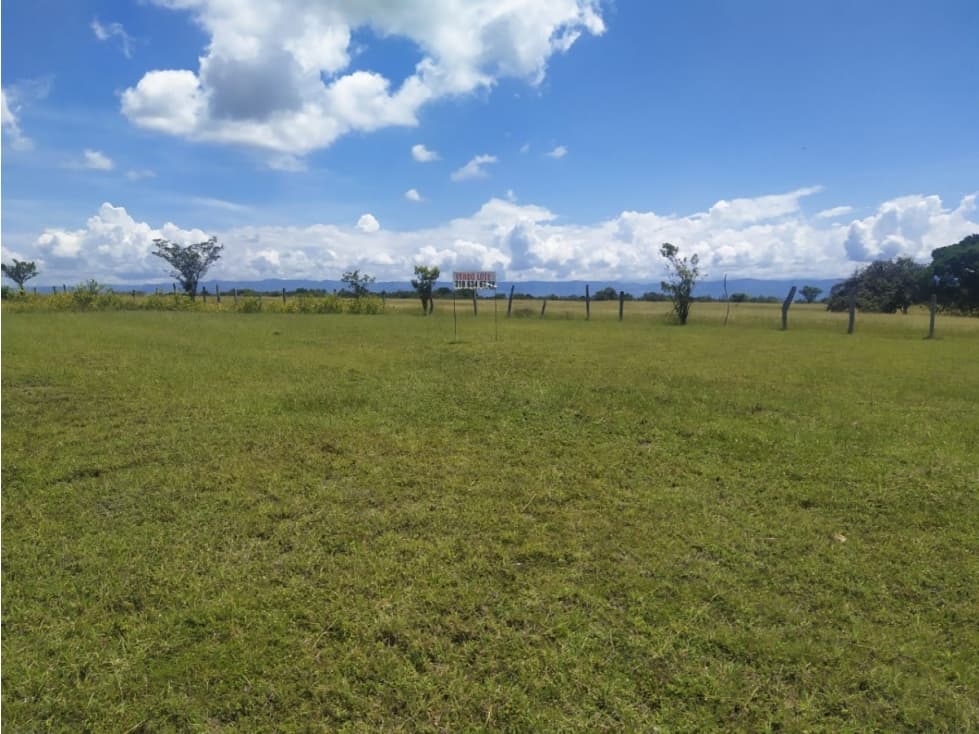 Vendo Lote Saldaña Tolima - 1