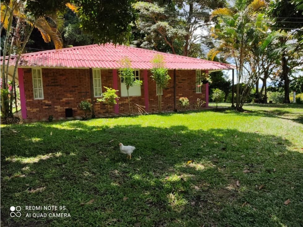 Venta finca Las Margaritas, Mariquita - 1