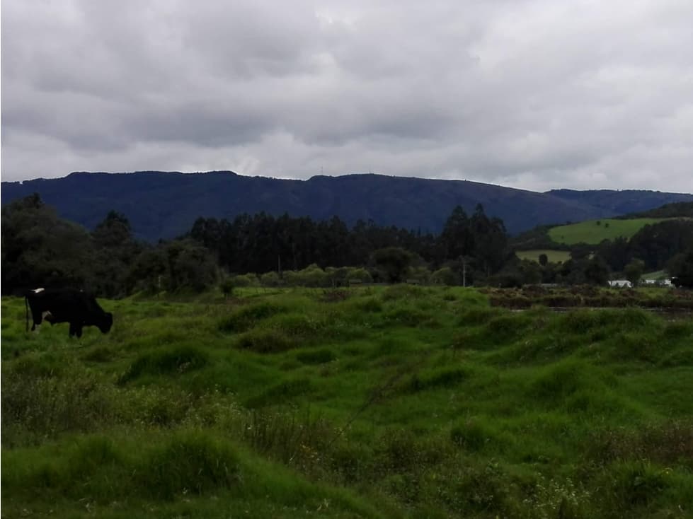 VENTA DE FINCA EN COGUA, CUNDINAMARCA - 1