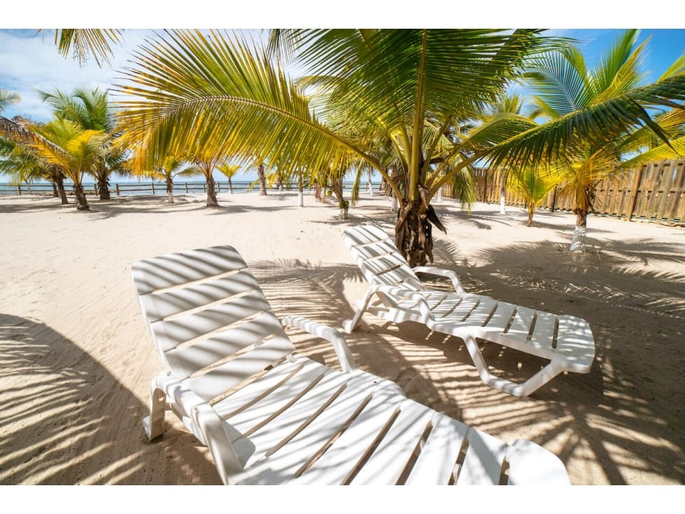 ?3.000 m2 - LOTE DE PLAYA ?EN VENTA | Tolú - Playas El Frances ?? - 1