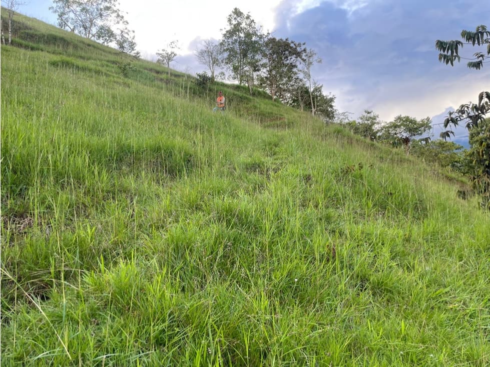Lote en venta en Yolombó, Antioquia - 1