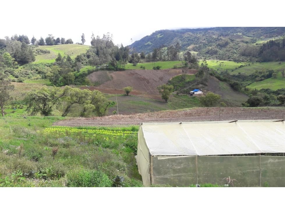 VENDO FINCA UNE CUNDINAMARCA AGUA DE 2 LAGOS NATURALES - 1
