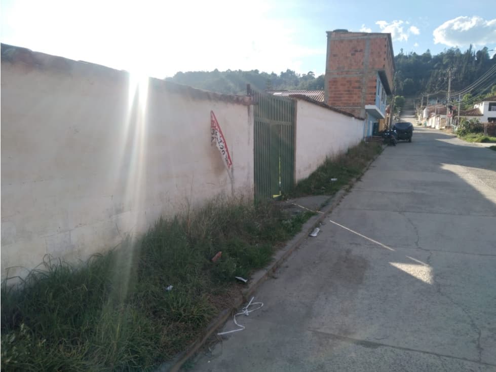 259. LOTE TINJACA - 1