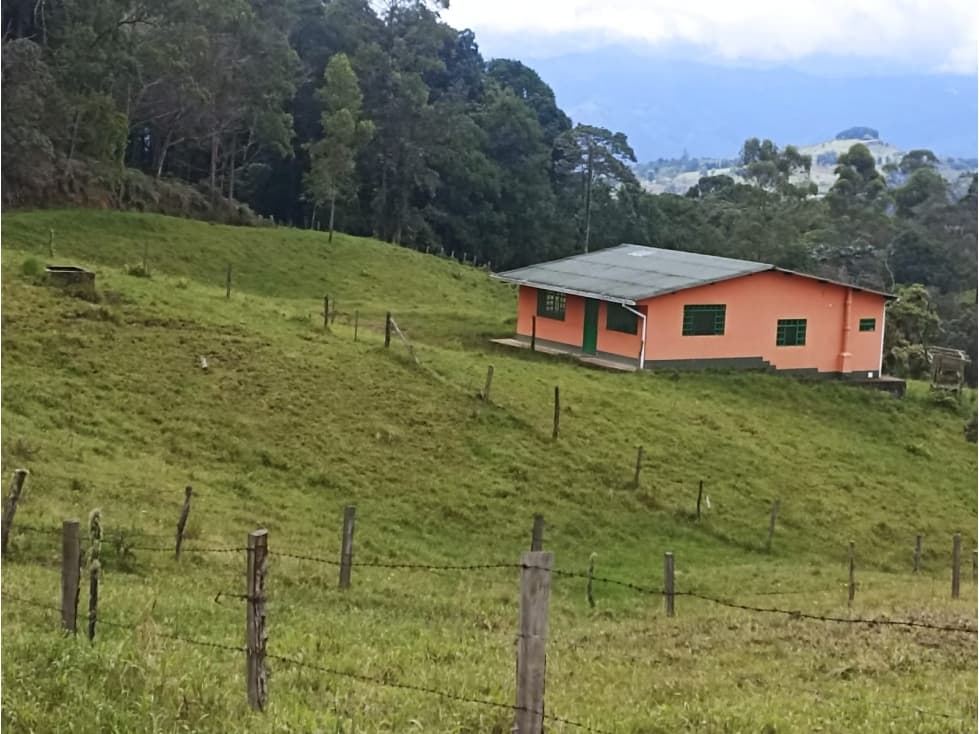 Venta Finca De 11 Fanegadas En Pacho Vereda Panamá - 1