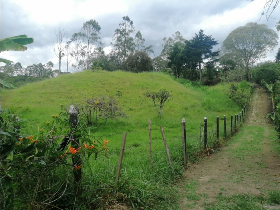 Venta lote rural de 7.461m2 en Pacho Vereda Primavera a 2 km - 1