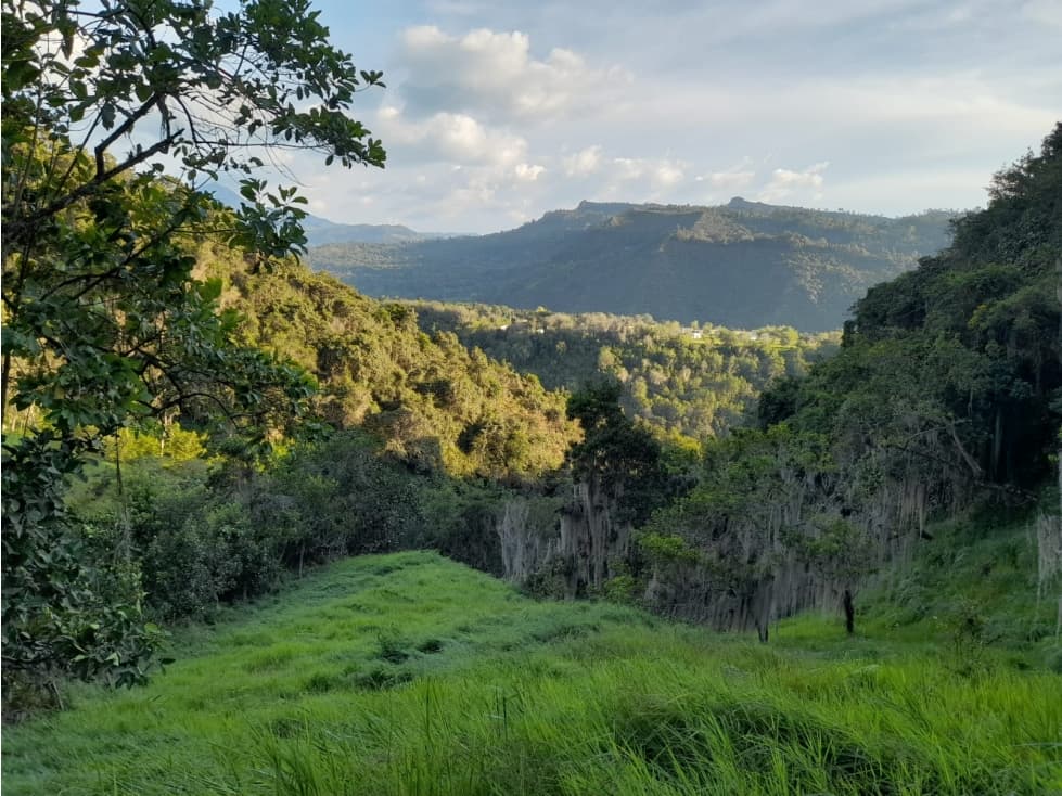 Venta Finca De 7.600m2 En Pacho vereda las Huertas - 1