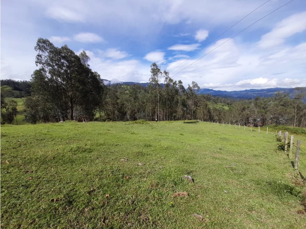 Venta Lote Rural de 28.800 m2 Pacho vereda Llano de Trigo - 1