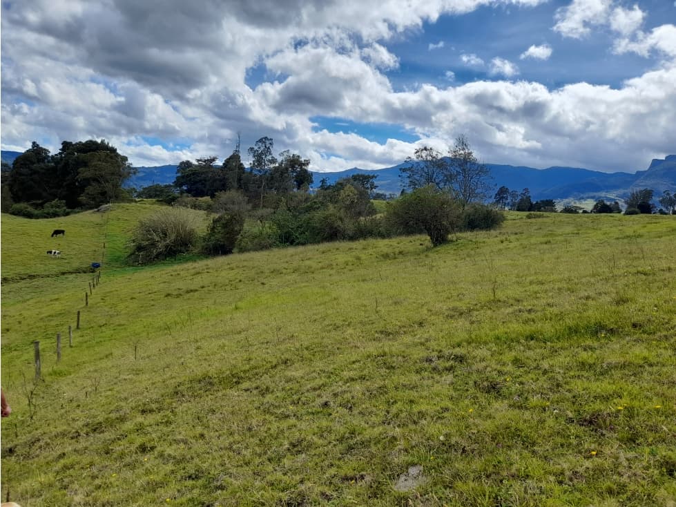 Venta Finca Agropecuaria De 27 fanegadas Vereda Las Pilas Pacho - 1
