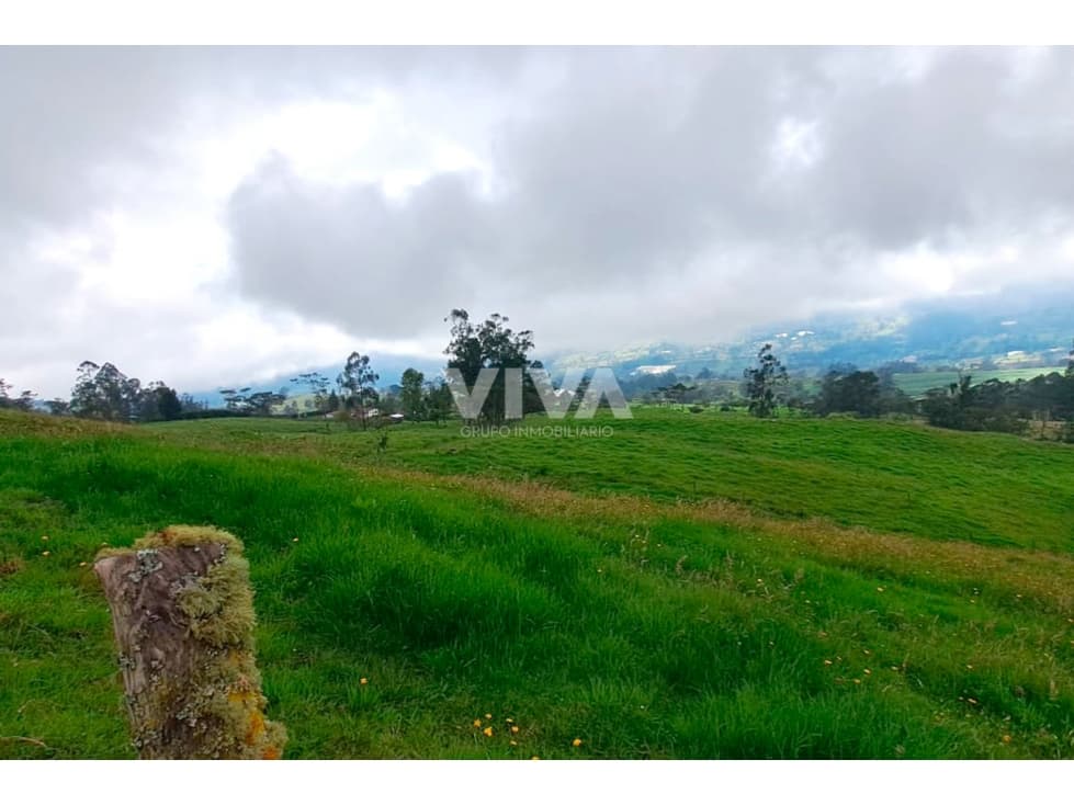 ESPECTACULAR FINCA  DE 12.5 FANEGADAS - 1