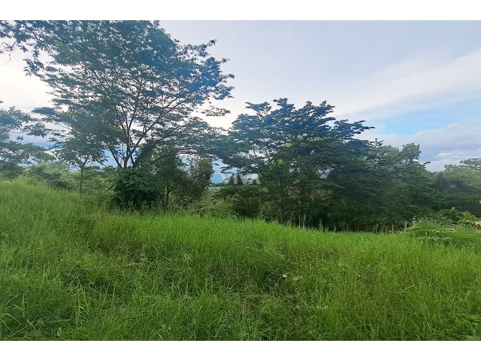 LOTE EN VENTA SILVANIA - 1