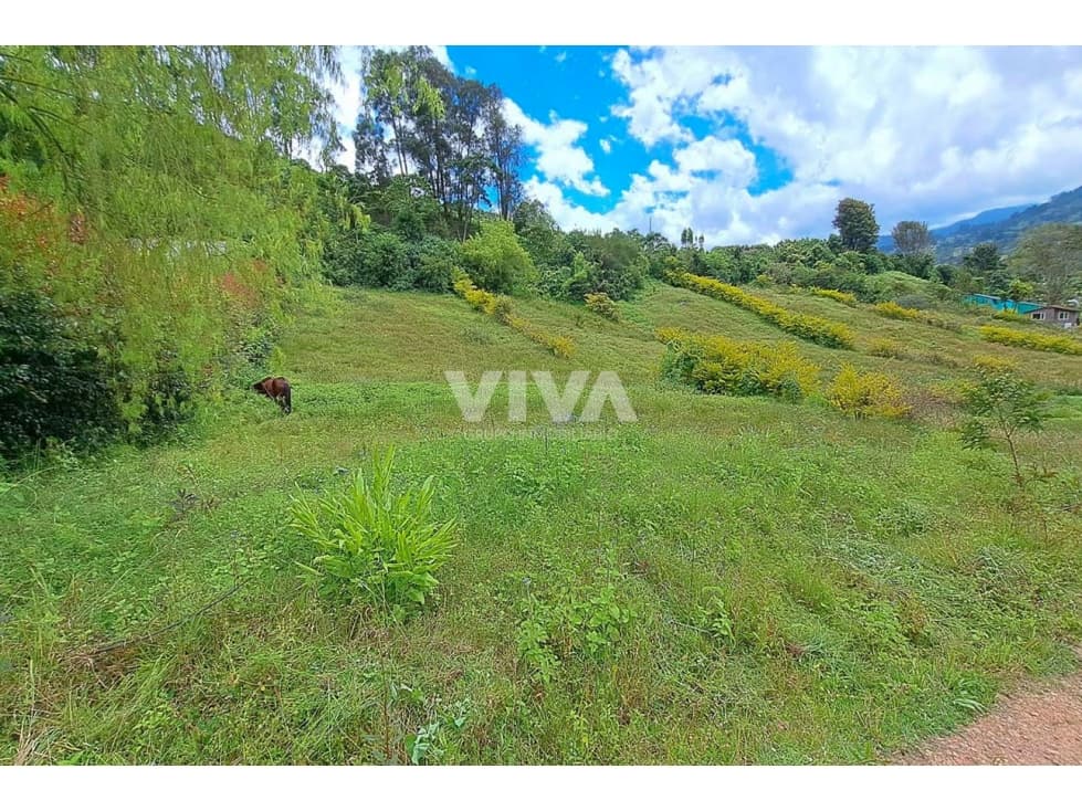 ESPECTACULAR LOTE EN SUBIA - 1