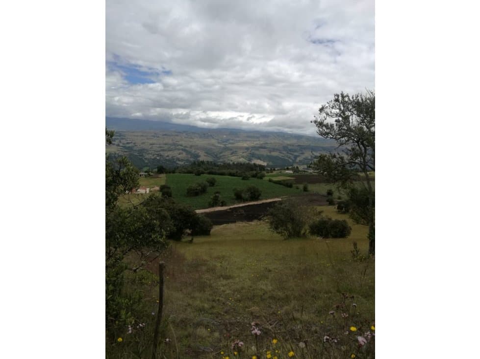 FINCA EN  TUNJA -BOYACA - 1