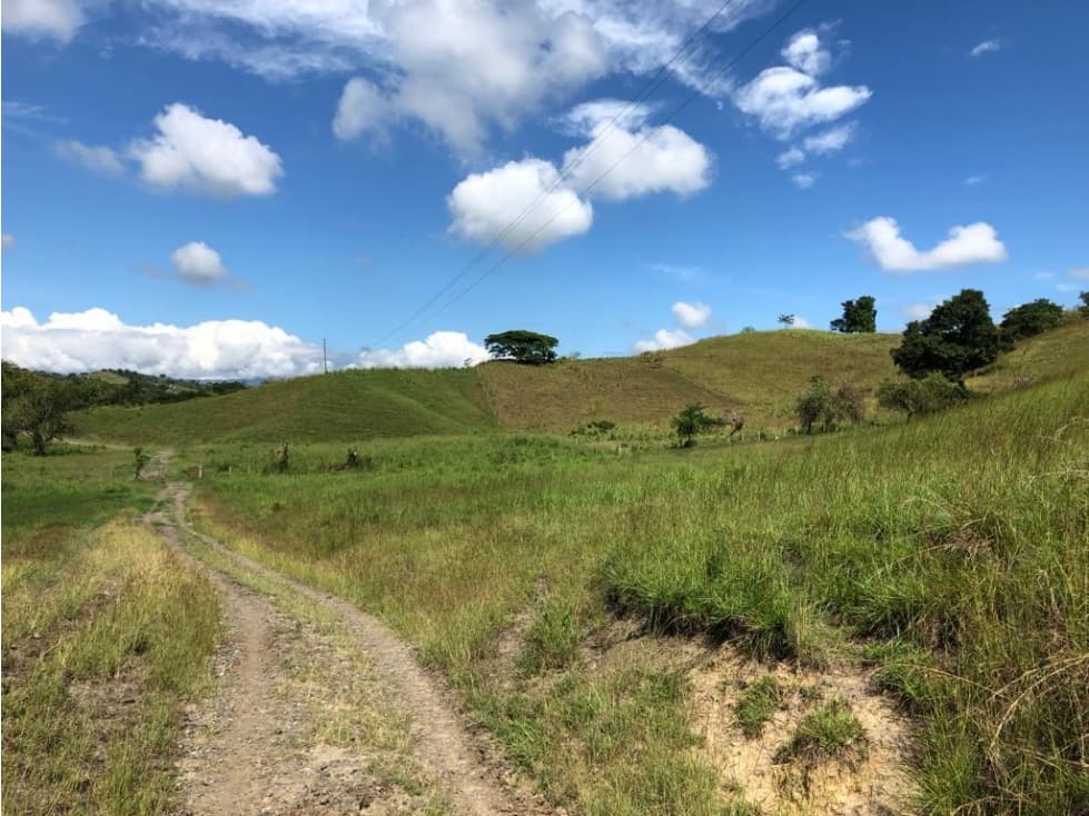 FINCA EN VENTA BUGALAGRANDE, LFL, W5332025 - 1
