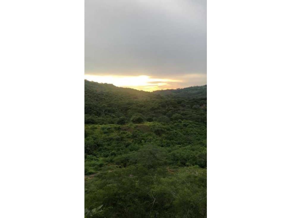 FINCA EN VENTA PARA FINES INDUSTRIALES  DE INVERSIONES VG - 1
