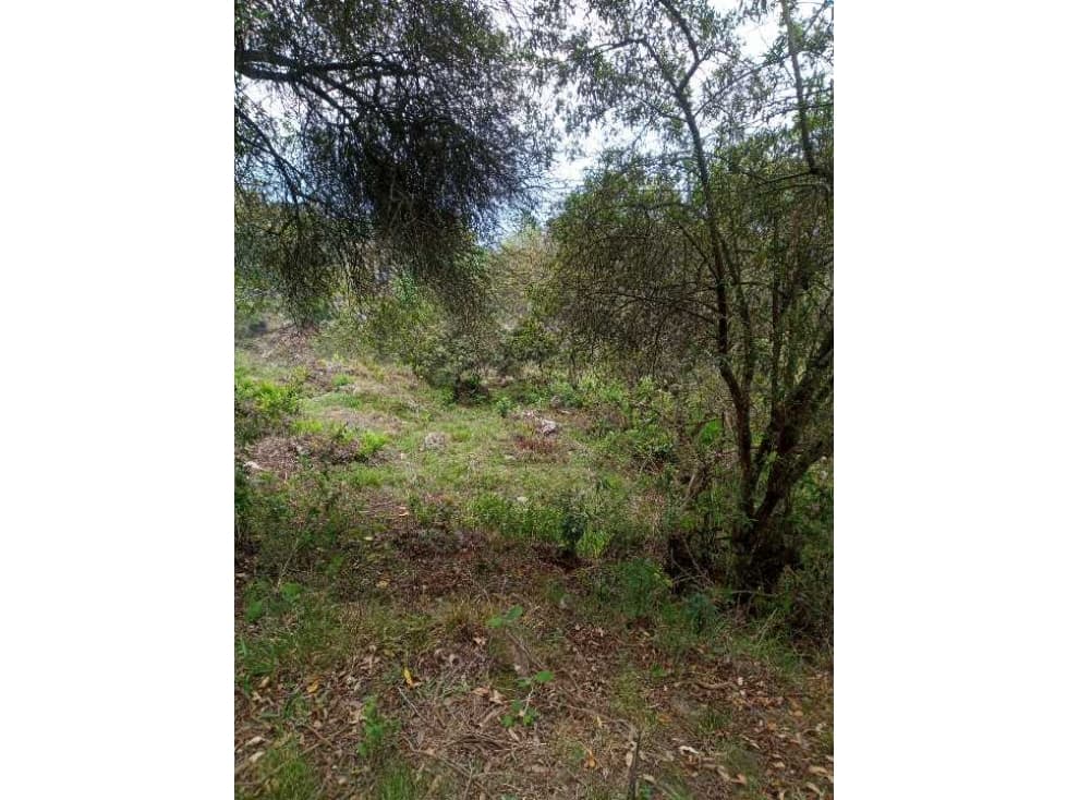 Lote en Ubaque - 1