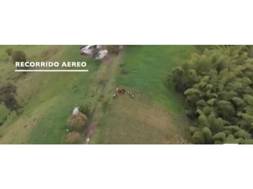 VENDO FINCA QUIMBAYA W 5667824       L.M.G. - 1