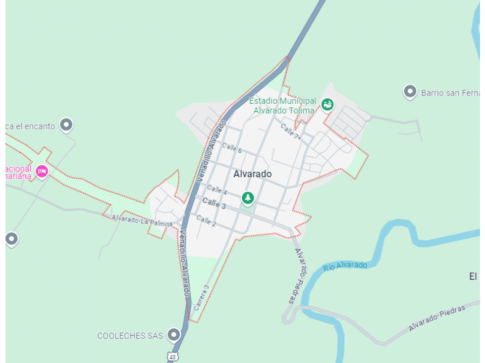 PREDIO GOTERA MANGA LOTE 3 CR 2 01 A - 02 ALVARADO, TOLIMA - 1