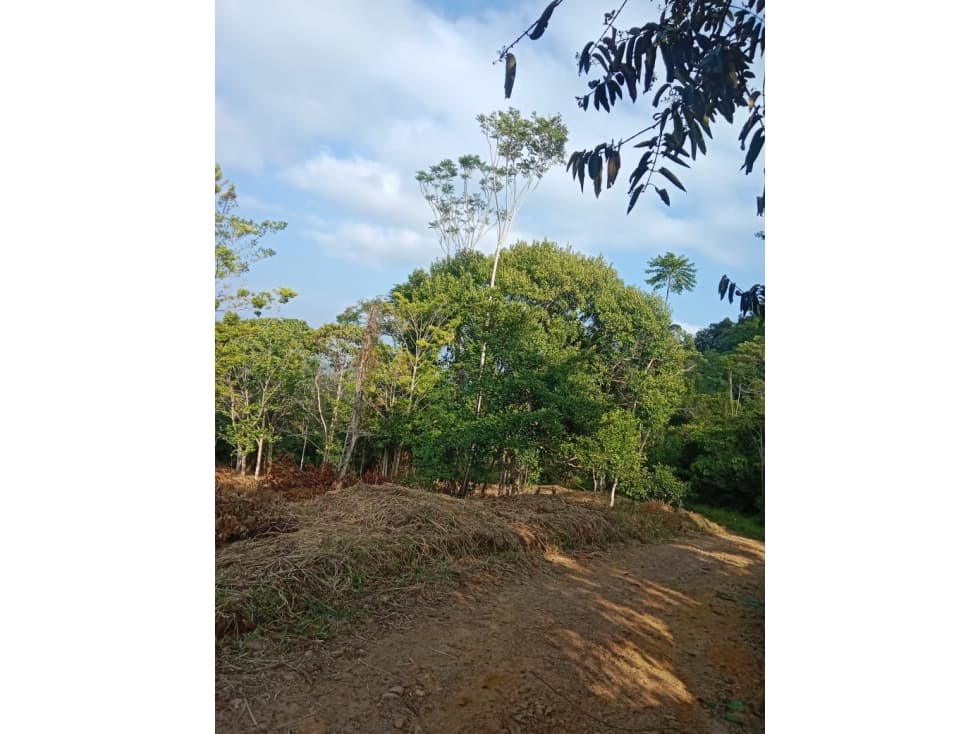 Lote en venta en San Rafael - 1