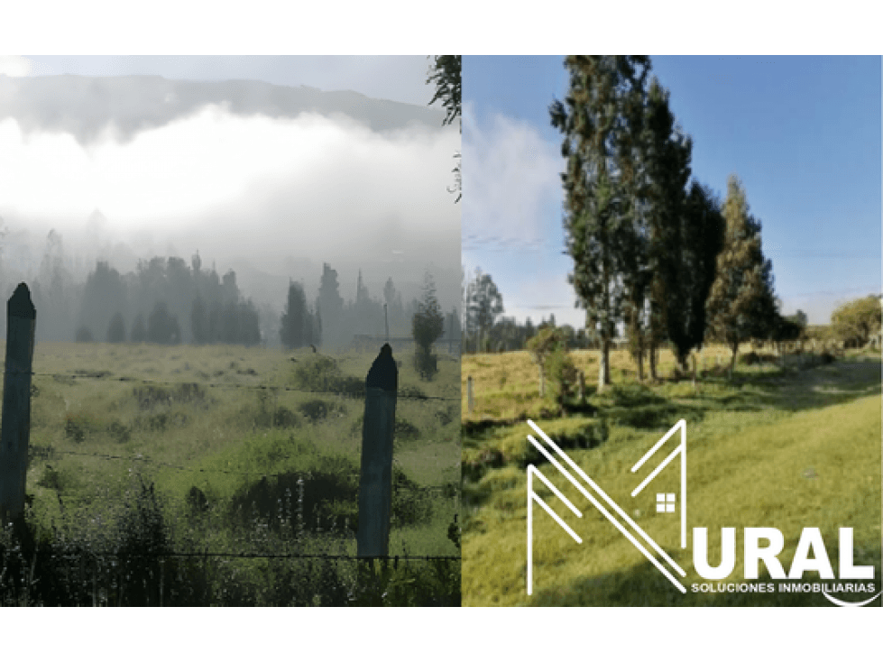 Lote - Terreno Las Acacias, Vereda Carreño - Sotaquira - 1