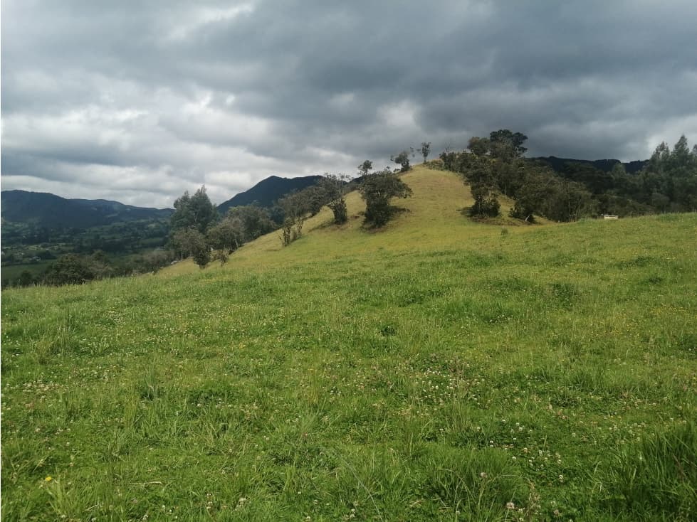 HERMOSA FINCA VEREDA SECTOR SAN ISIDRO ZIPAQUIRÁ - 1
