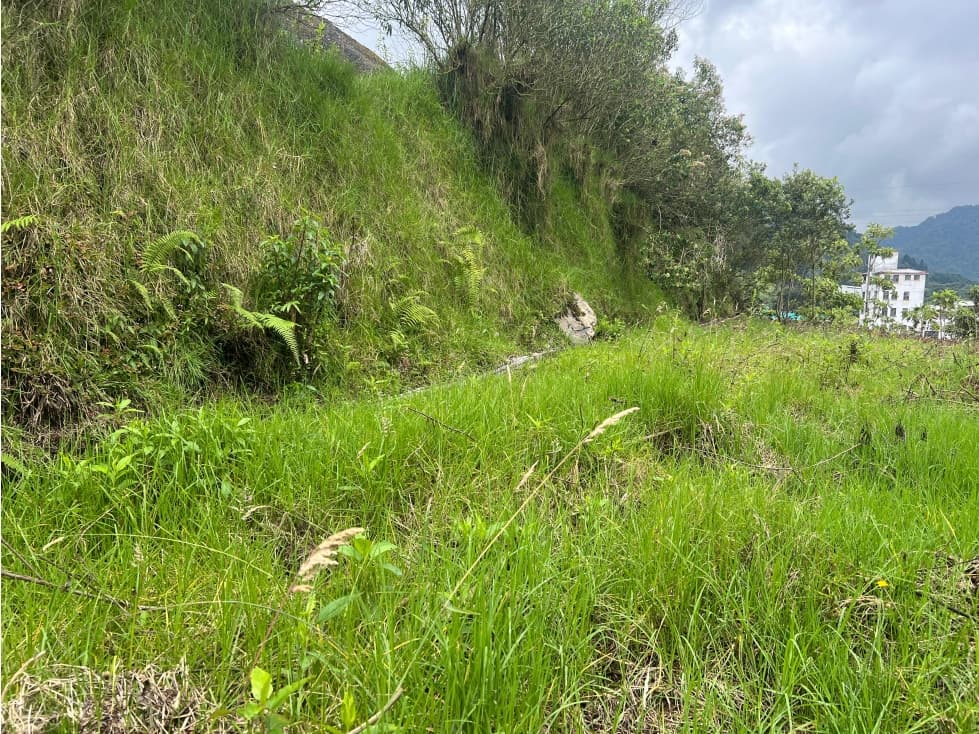 Lote en arriendo, Maltería, Manizales - 1