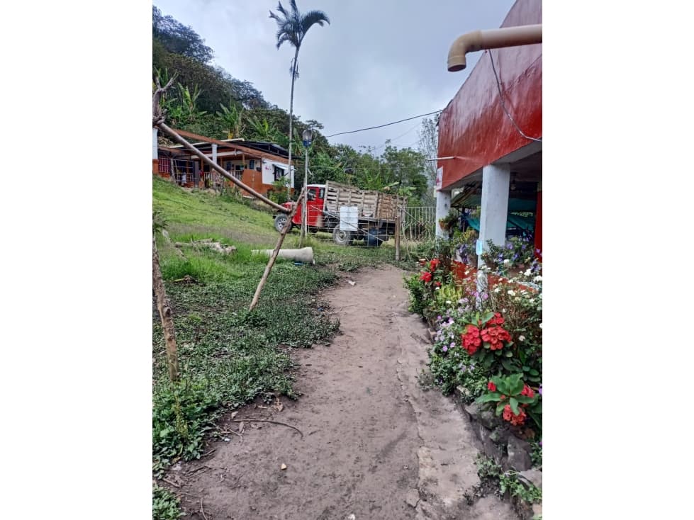 Se vende hermosa finca productora de cafe en Mistrato Risaralda - 1