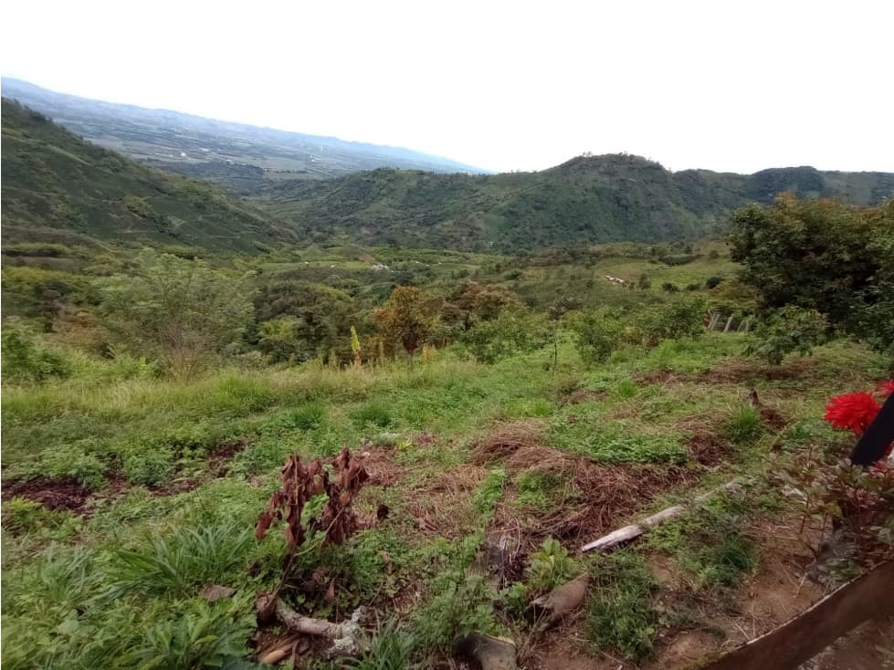 SE VENDE FINCA EN PIJAO QUINDIO - 1
