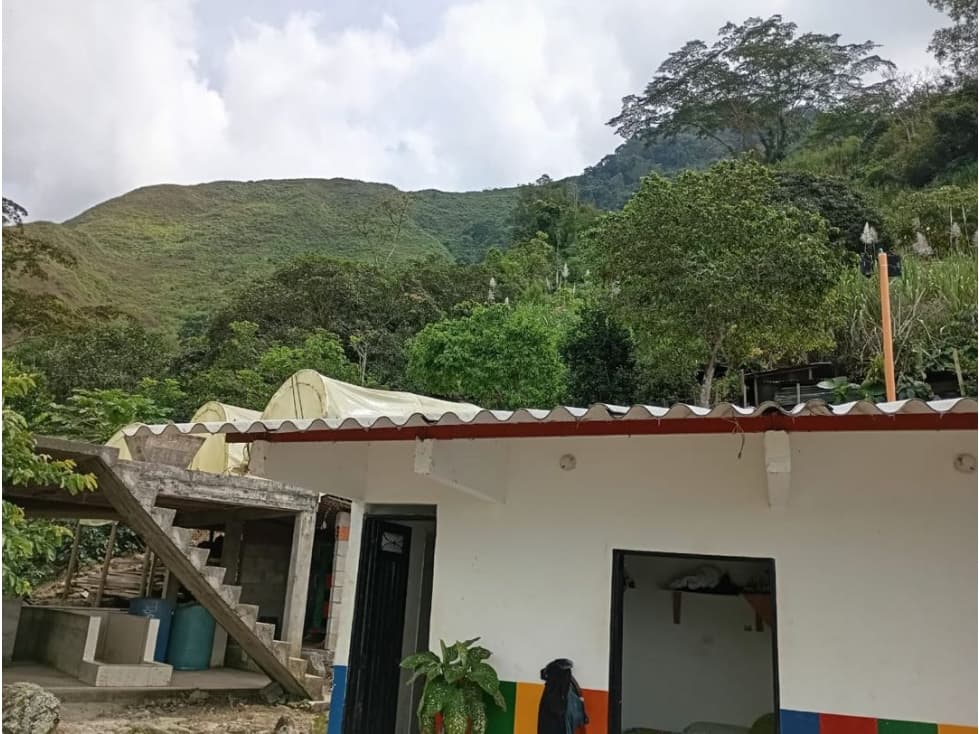 Finca productiva con 20 mil árboles de café y cacao en Briceño antioqu - 1