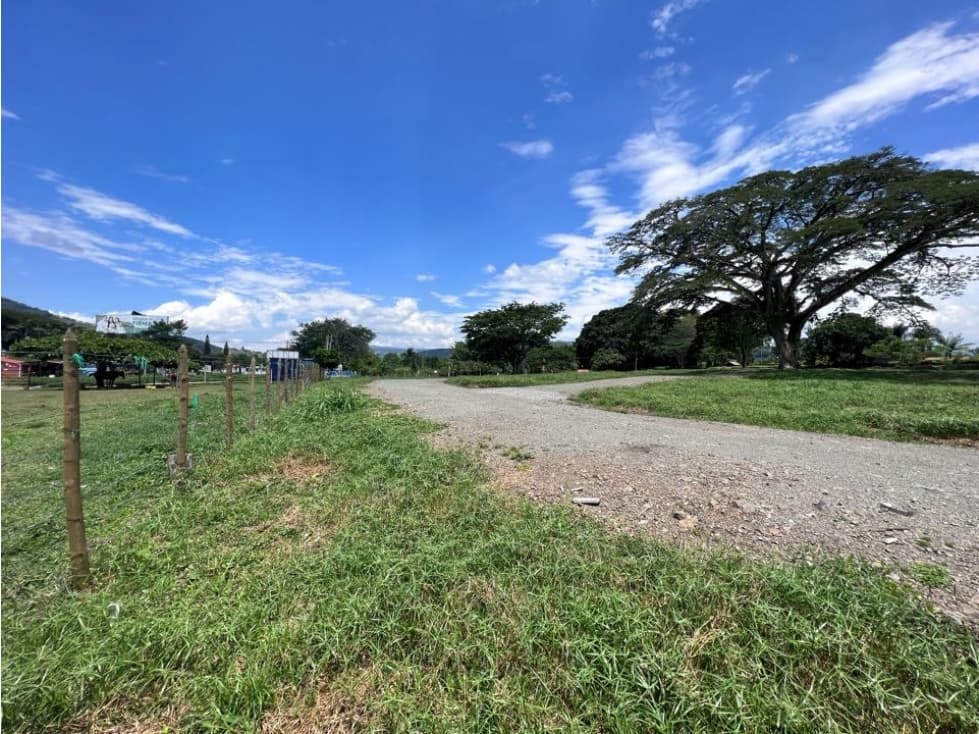 Lote Comercial Institucional Servicios Santagueda Palestina Manizales - 1