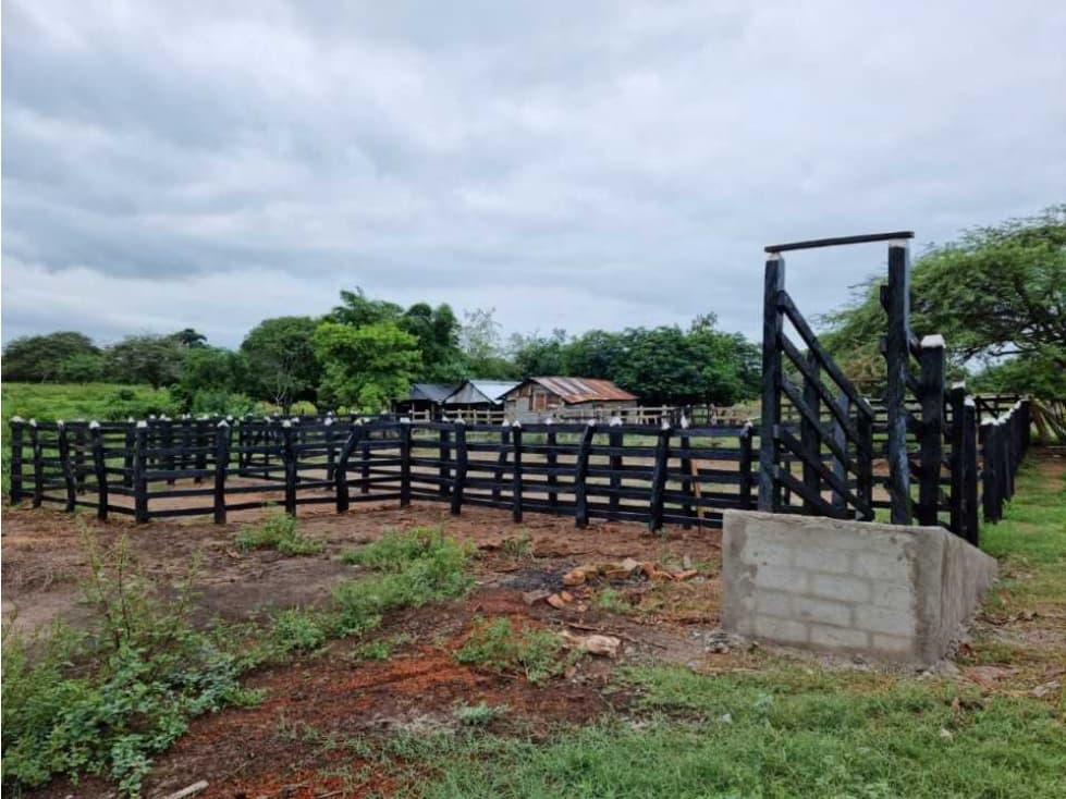 Se vende finca de 50 hectáreas a puerta cerrada en el retén, magdalena - 1