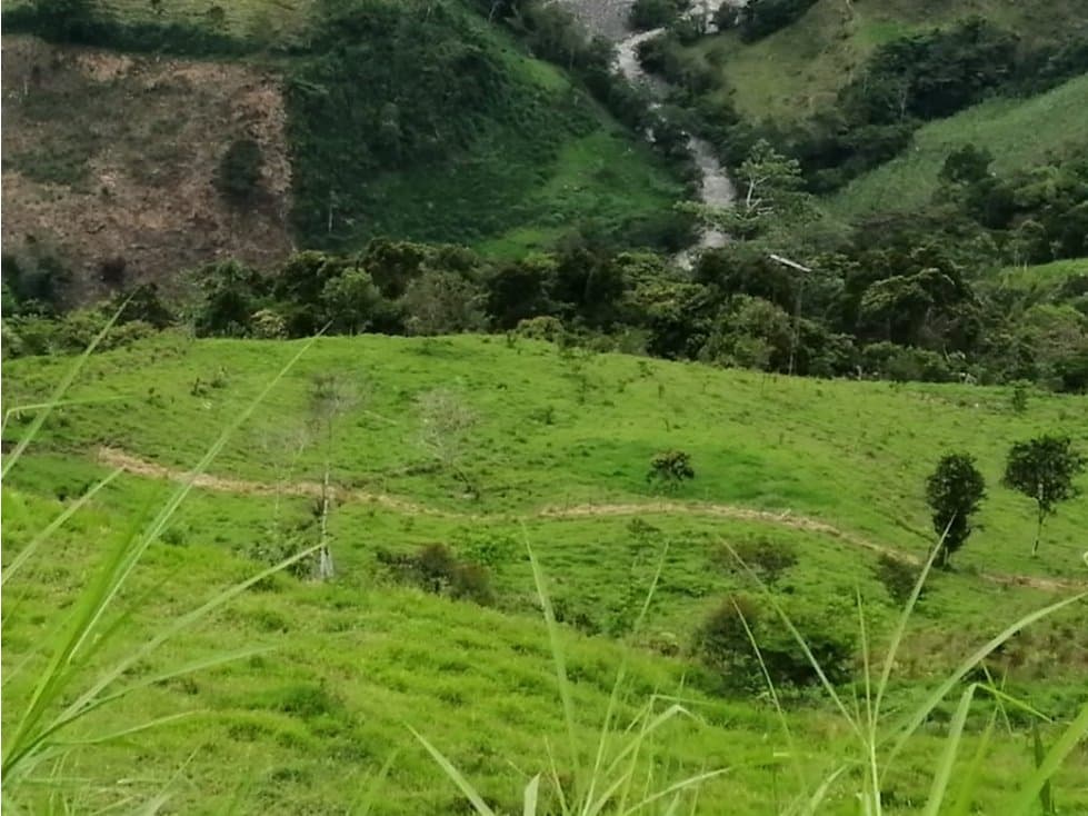 FINCA PARA VENTA EN MISTRATO - 1