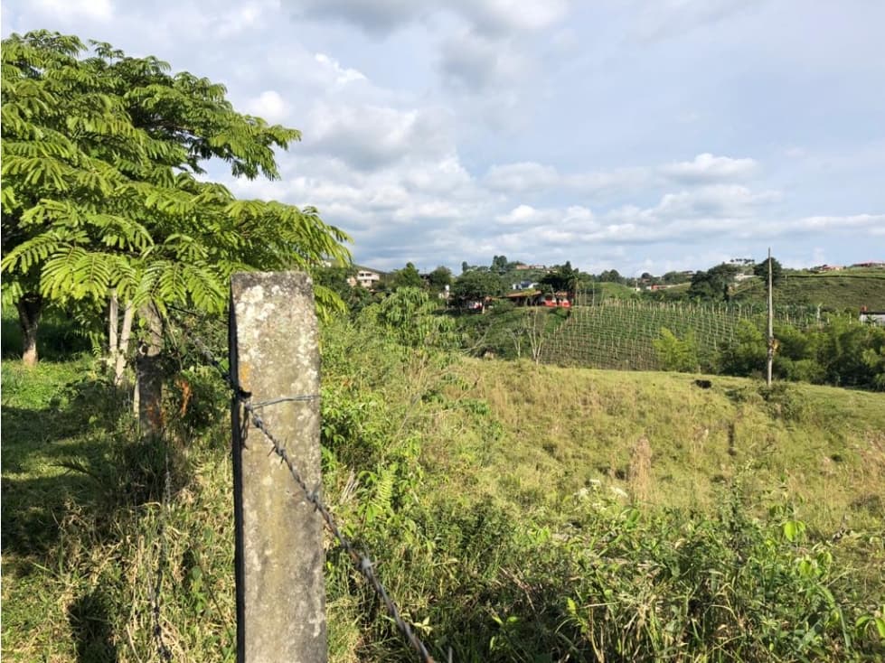 LOTE EN ARRENDAMIENTO - 1