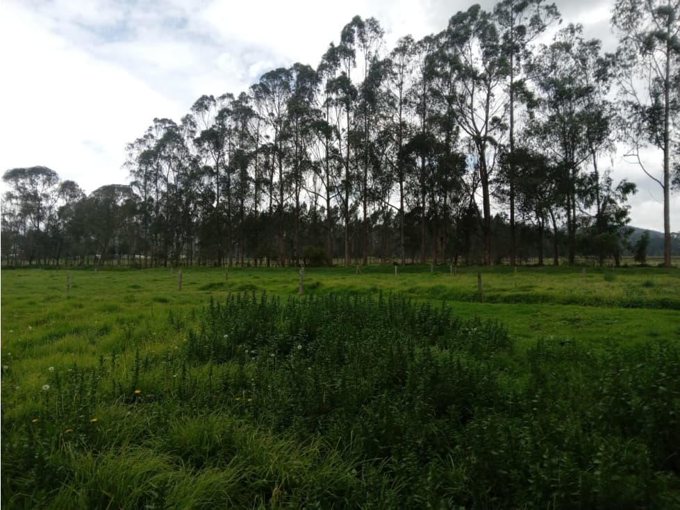 FINCA EN VENTA MADRID CUNDINAMARCA - 1