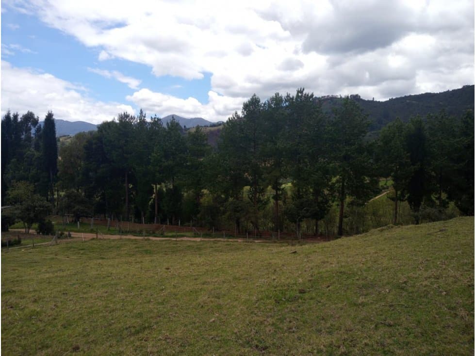 VENDO TERRENO DE 6.743 M2 EN SOTAQUIRA BOYACA - 1