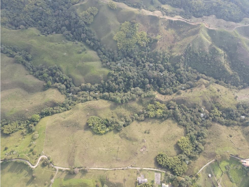SE ARRIENDA AMPLIA FINCA AGRÍCOLA EN FILANDIA - QUINDÍO - 1