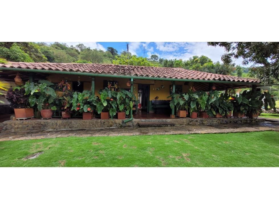 VENTA FINCA TURÍSTICA (PARCELA) PINCHOTE - 1
