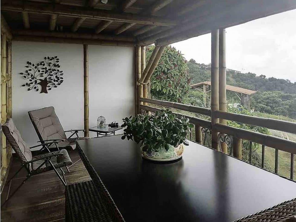 VENTA FINCA AGUACATE HASS - PACORA CALDAS - 1