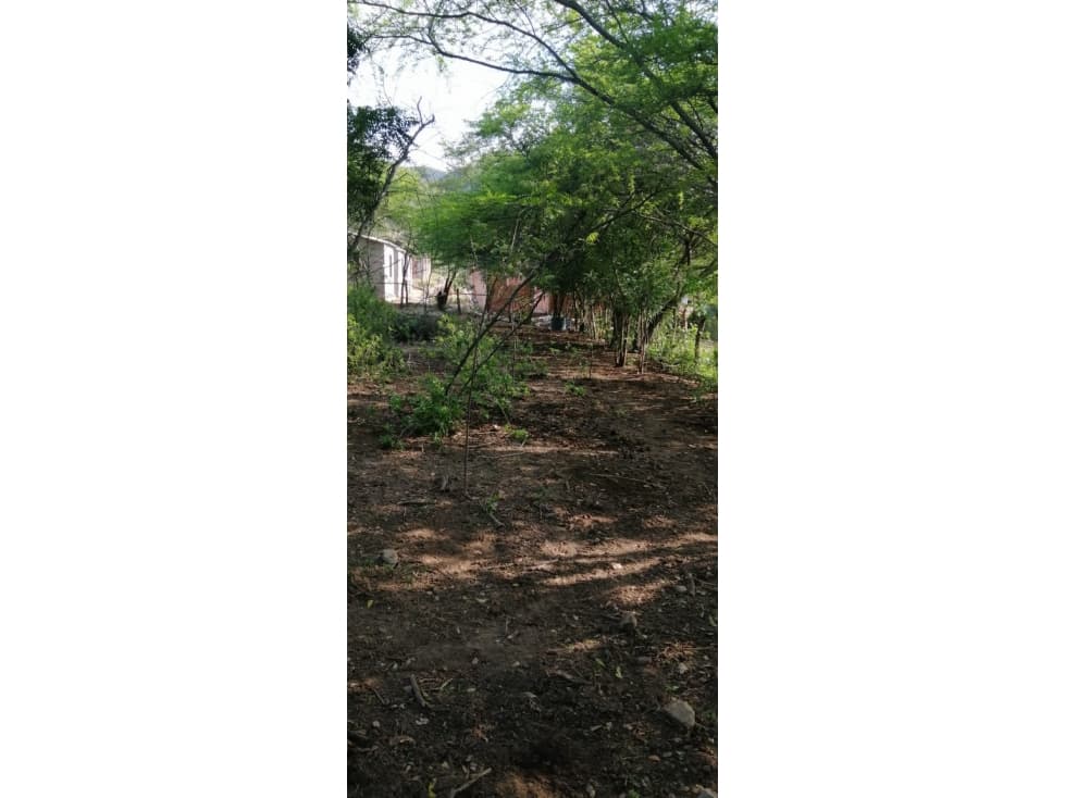 Hermosa Finca de 10 Hectáreas vía Girardot - 1