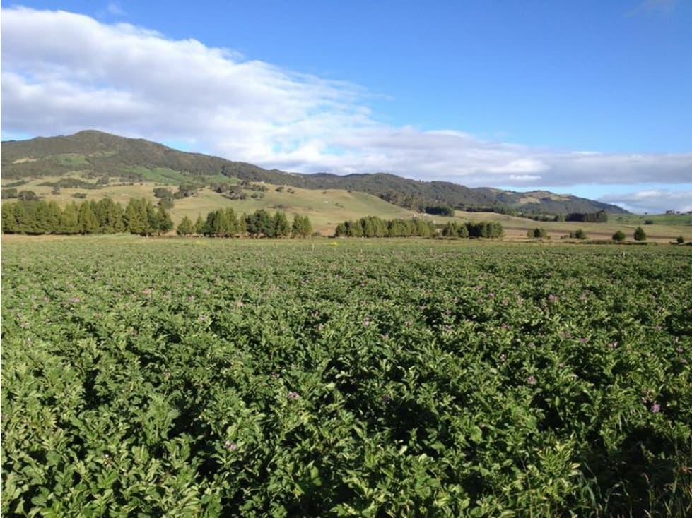 Finca en venta Ubicado en Zipaquira - 1