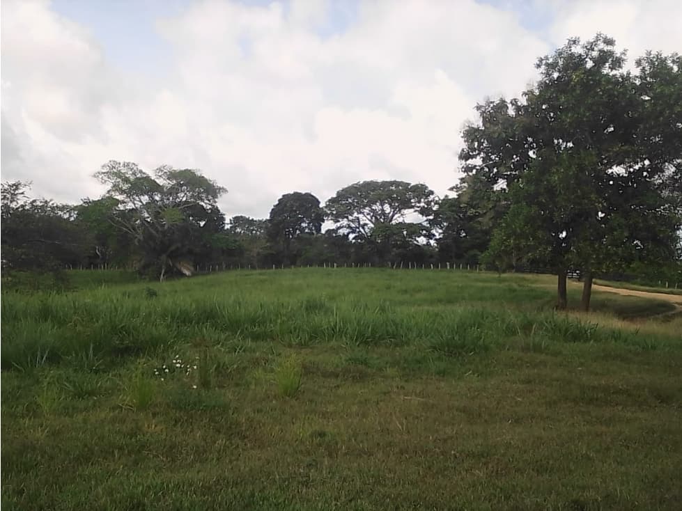 Finca en venta en Pueblo Nuevo Córdoba - 1