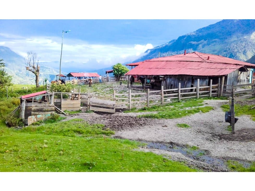Se vende Finca en Toche Cajamarca Tolima - 1