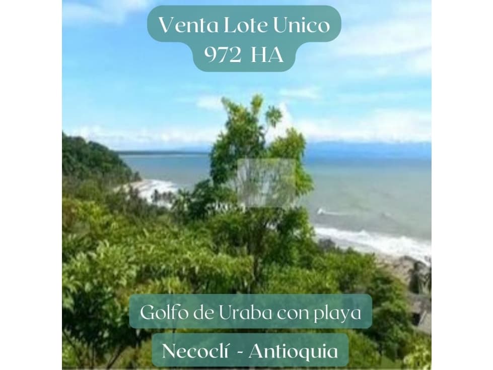 Venta Lote Golfo de Urabá Hermoso Ecosistema con Playa en Necocli - 1